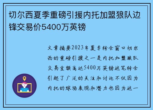 切尔西夏季重磅引援内托加盟狼队边锋交易价5400万英镑 切尔西夏季重磅引援内托加盟狼队边锋交易价5400万英镑